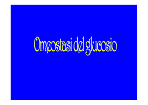 Omeostasi-del-glucosio-201modalitÃ -compatibilitÃ -prof