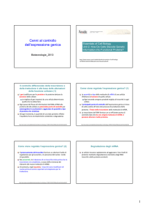 Diapositive sul controllo dell`espressione genica