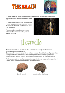 relazione2