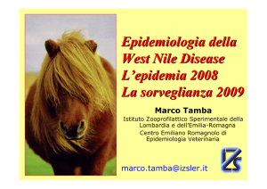 Epidemiologia della WND. L`epidemia 2008. La