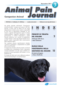 Animal Pain Journal 3 - Medicina Veterinaria