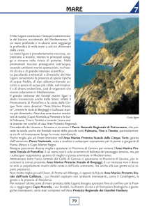 7 - Ambiente in Liguria