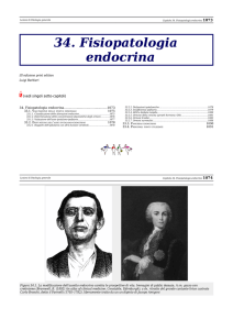 34. Fisiopatologia endocrina