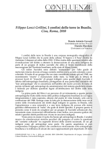 Filippo Lenzi Grillini, I confini delle terre in Brasile