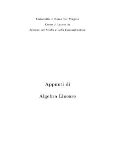 Appunti di Algebra Lineare - Dipartimento di Matematica Tor Vergata