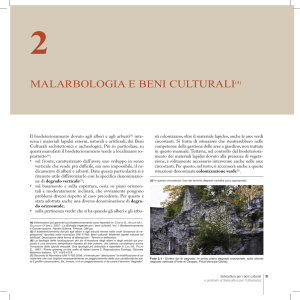 malarbologia e beni culturali(4)