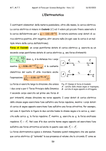 L`Elettrostatica