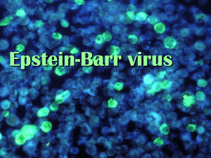 EPSTEIN-BARR VIRUS