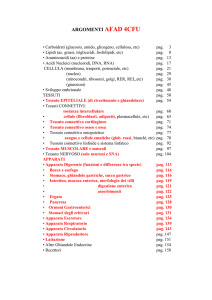 argomenti afad 4cfu - Facoltà di Agraria