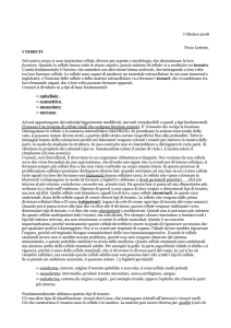 7 Ottobre 2008 Terza Lezione. I TESSUTI Nel nostro corpo ci sono