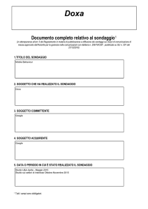 Scarica il file (PDF Document 156Kb)