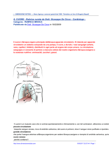 IL CUORE - Rubrica curata da Dott. Giuseppe De Cicco - Cardiologo -