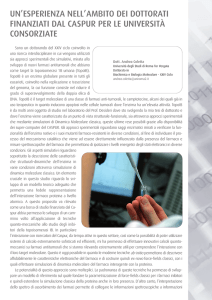 PDF - CASPUR Annual Report