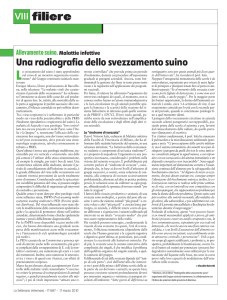 Articolo #1 - Gruppo Veterinario Suinicolo Mantovano