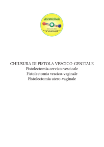 CHIUSURA DI FISTOLA VESCICO-GENITALE