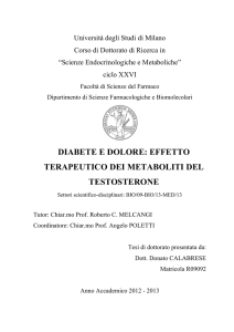 Tesi completa mod simone Donato Calabrese