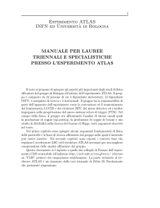 Proposte per tesi triennali e specialistiche - INFN