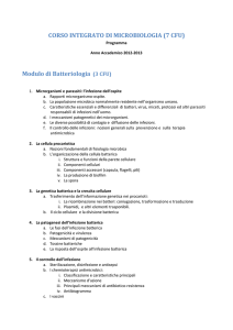 Microbiologia AA 2012/2013