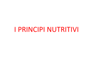 I PRINCIPI NUTRITIVI - Matematica e Scienze
