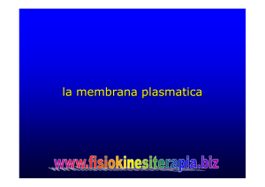 la membrana plasmatica