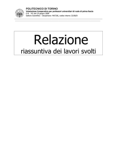 Relazione - swas.polito.it