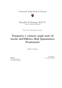 Trasporto e rumore negli stati di bordo dell`Effetto Hall Quantistico