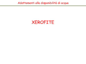 Lez6a_Xerofite_Adattamento vegetali all