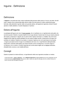 Inguine - Definizione - Magazine Delle Donne