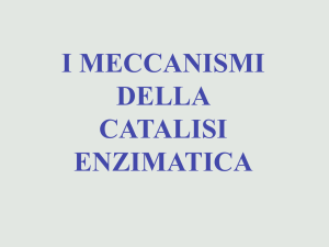 i meccanismi della catalisi enzimatica - e