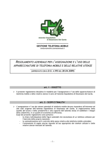 Decreto n. 393 del 28.04.2009