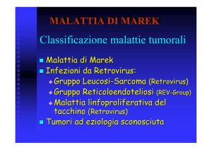 MALATTIA DI MAREK3stampa - Progetto e