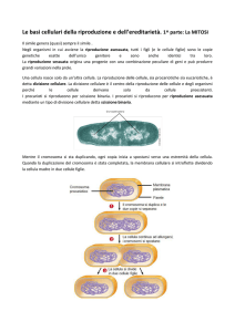 Le basi cellulari della riproduzione e dell`ereditarietà. 1^ parte: La