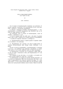 Acta n.4-1958 articolo 12