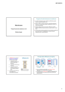 Membrane