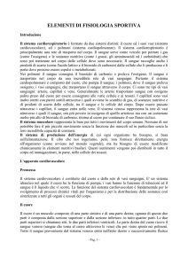 elementi di fisiologia sportiva