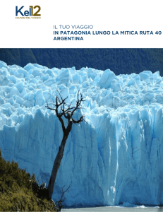 il tuo viaggio in patagonia lungo la mitica ruta 40 argentina