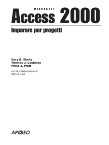 Access 2000 - Apogeonline