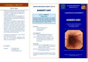 esofago di Barrett - Istituto Oncologico Veneto