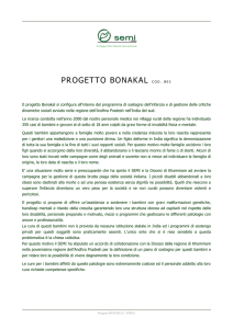 progetto bonakal india