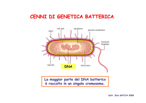 CENNI DI GENETICA BATTERICA