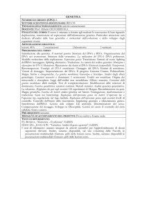 8--Programmi Guida 2014-15 (F.Peluso, 3 programmi)