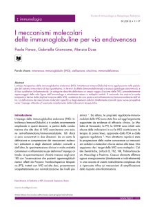 I meccanismi molecolari delle immunoglobuline per via endovenosa