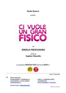 Ci vuole un gran fisico (2013) - pressbook