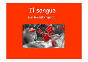 Il sangue - Autistici/Inventati