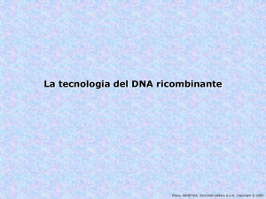 Lezione 15-accenni DNA ricombinante