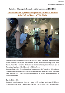Valutazione dell`esperienza del pubblico del Museo Virtuale della