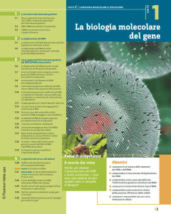 La biologia molecolare del gene