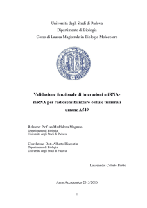 Validazione funzionale di interazioni miRNA