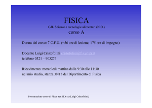 Presentazione - Dipartimento di Fisica e Scienze della Terra