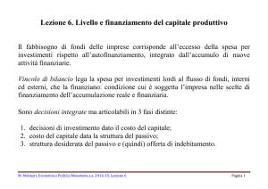Lezione 6. Livello e finanziamento del capitale produttivo